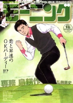 Cover of No. 16, 2008