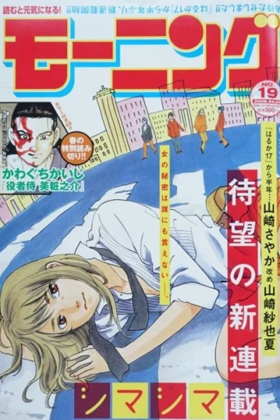 Cover of No. 19, 2008