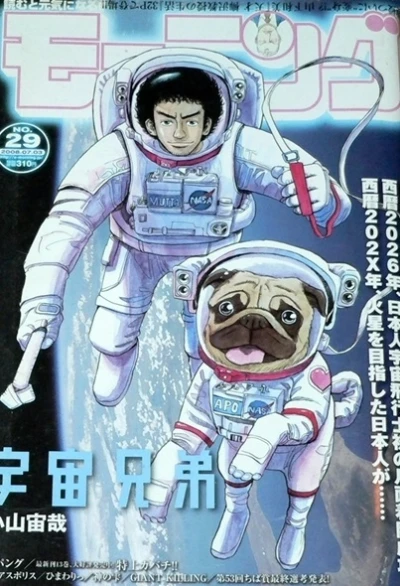 Cover of No. 29, 2008