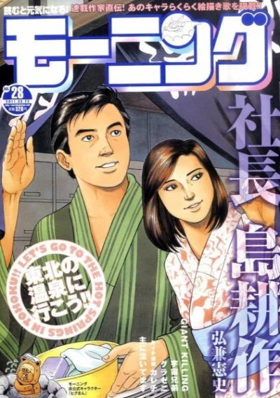 Cover of No. 28, 2011