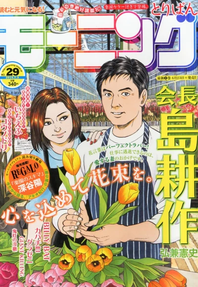 Cover of No. 29, 2014