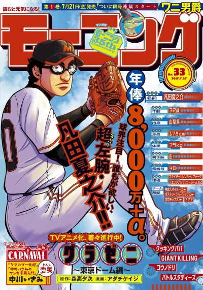 Cover of No. 33, 2017