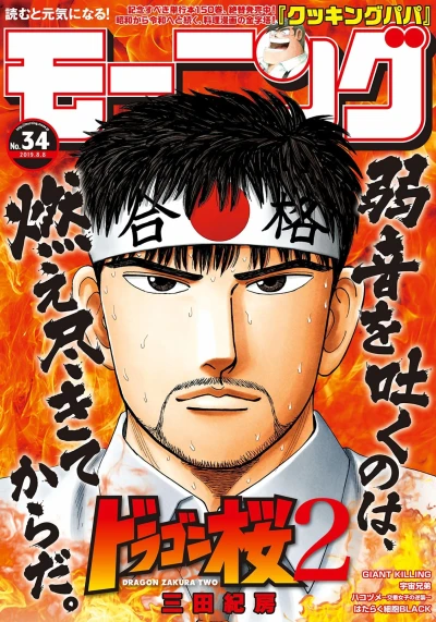 Cover of No. 34, 2019