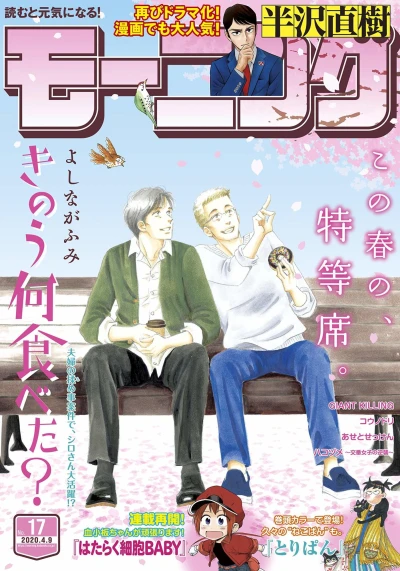 Cover of No. 17, 2020