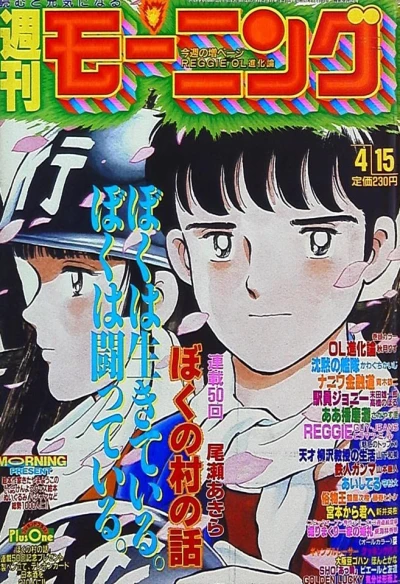 Cover of No. 17, 1993