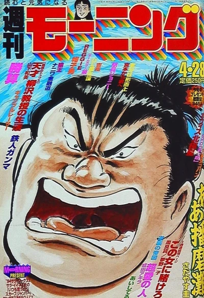 Cover of No. 19, 1994