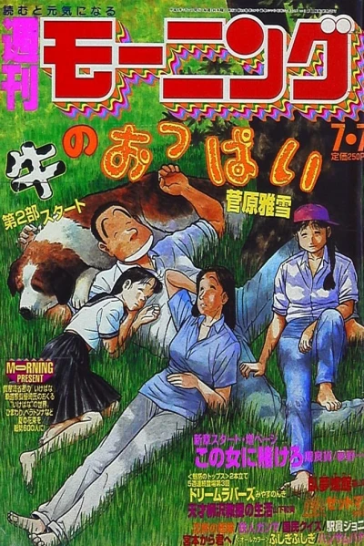 Cover of No. 29, 1994