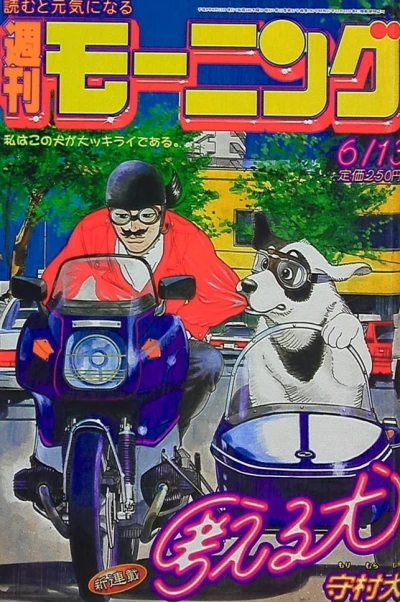 Cover of No. 26, 1996
