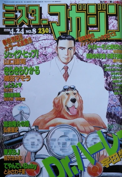 Cover of No. 8, 1996