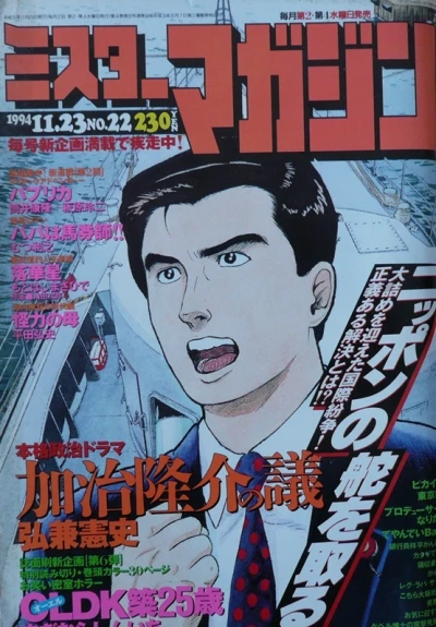 Cover of No. 22, 1994