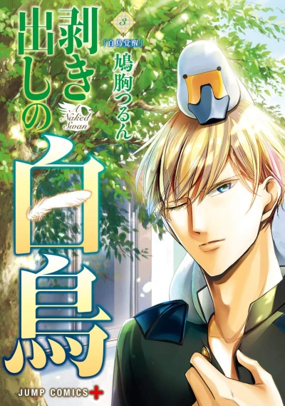 Cover of Vol. 3