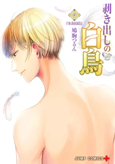 Cover of Vol. 4