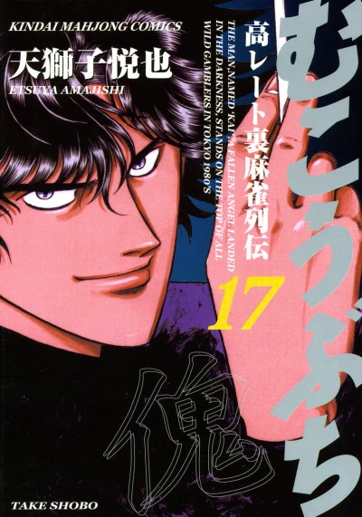 Cover of Vol. 17