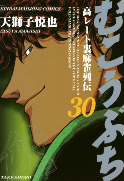 Cover of Vol. 30