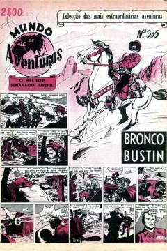 Bronco Bustin