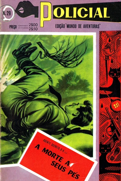 Cover of Issue #29