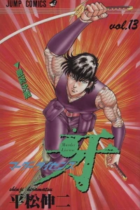 Vol. 13