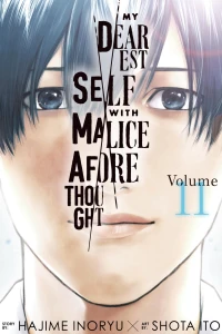 Volume 11