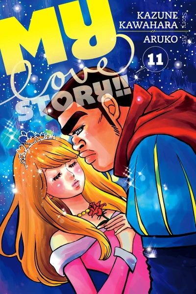 Cover of Vol. 11