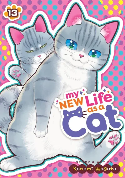 Cover of Volume #13