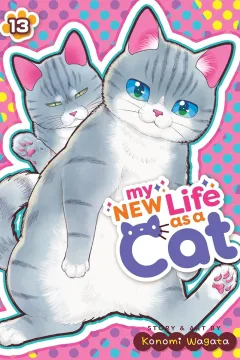 Vol. 13