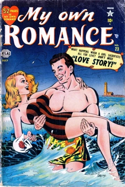 Cover of The Prince And The Playgirl!