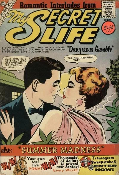 Cover of Dangerous Gamble, Summer Madness