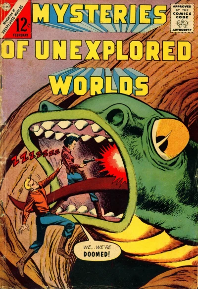 Cover of Space Survivor