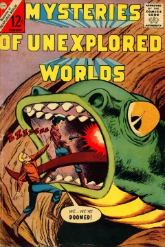 Space Survivor