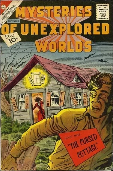 Cover of The Witch Doctor's Fee