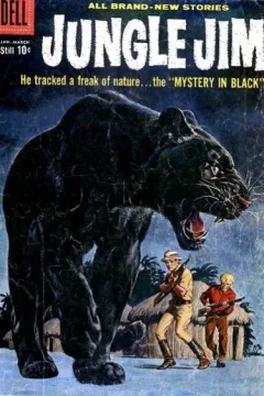 Mystery in Black