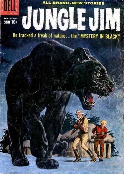 Cover of Mystery in Black