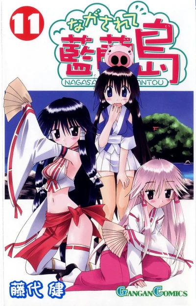 Cover of Volume 11