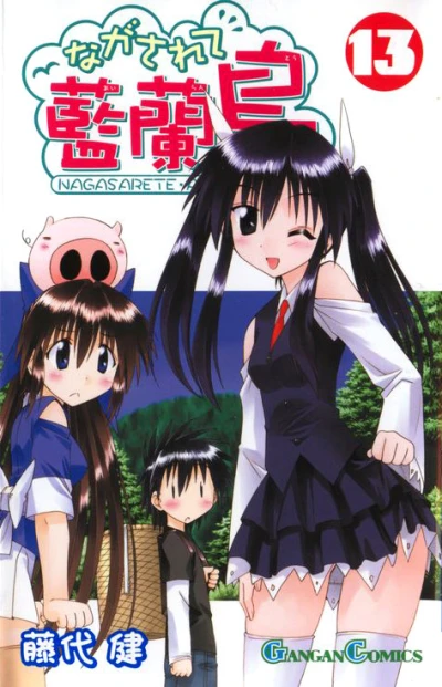 Cover of Volume 13