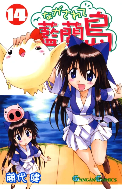 Cover of Volume 14