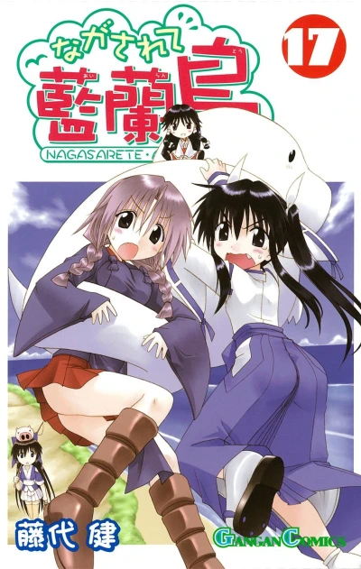 Cover of Volume 17