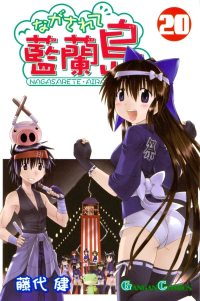 Cover of Volume 20