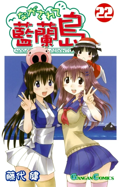 Cover of Volume 22