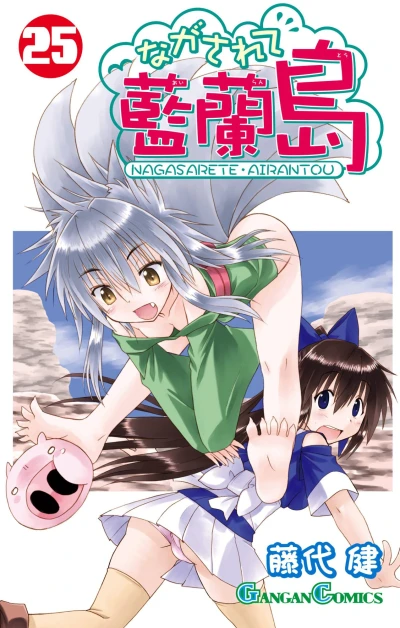 Cover of Volume 25