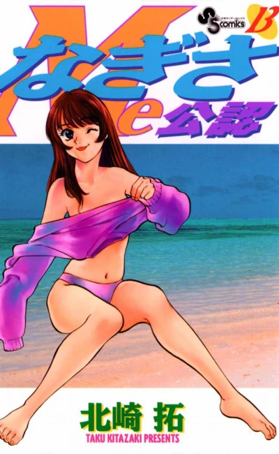 Cover of Vol. 13