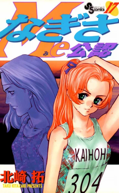 Cover of Vol. 17