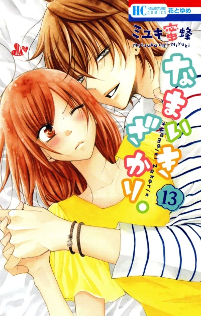 Cover of Vol. 13