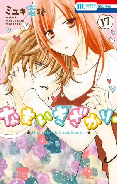 Cover of Vol. 17