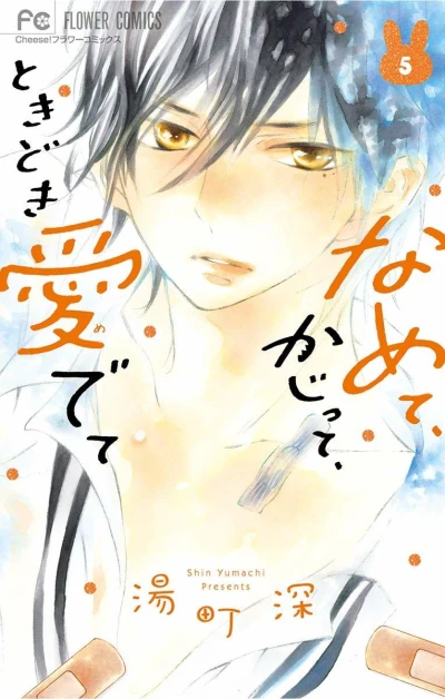 Cover of Vol. 5
