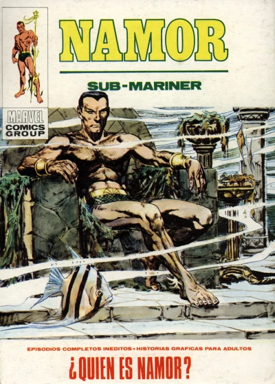 Cover of ¿Quien es Namor?