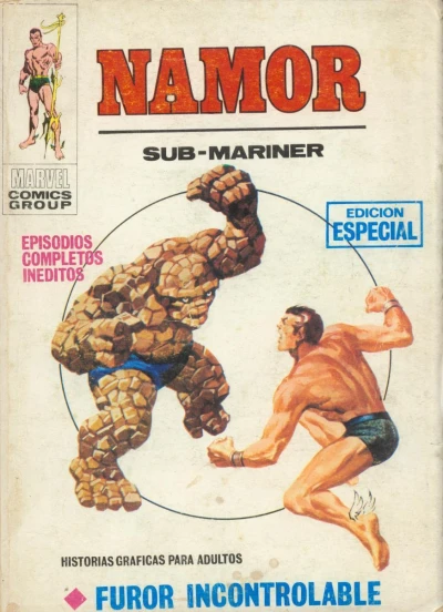 Cover of Furor incontrolable