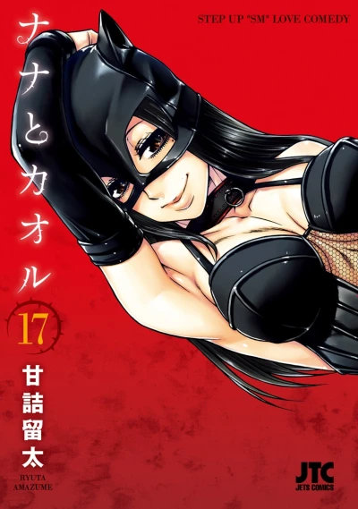 Cover of Vol. 17