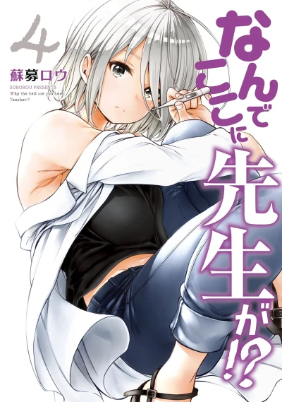 Cover of Vol. 4
