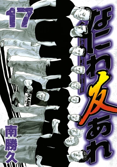 Cover of Vol. 17