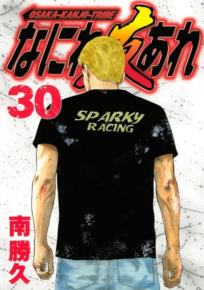 Cover of Vol. 30